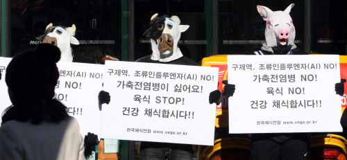 Vegetarians stage a street performance to promote the vegetarian diet in Seoul on Sunday after Korean health authorities have culled more than 1 million animals to contain foot-and-mouth outbreaks. (Yonhap News)