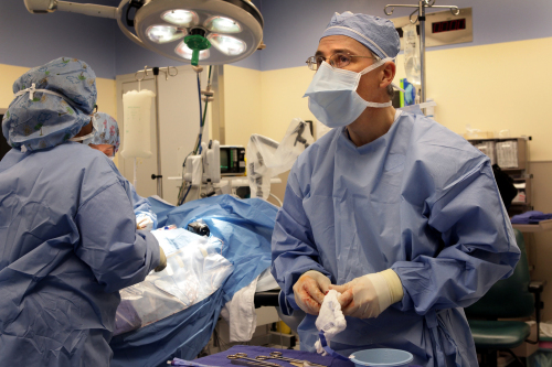 Washington University urologic surgeon Dr. Gerald Andriole prepares a cancerous prostate specimen after removing it from a patient during surgery on Jan. 10 at Barnes Jewish West County Hospital in Creve Coeur, Missouri. (MCT)