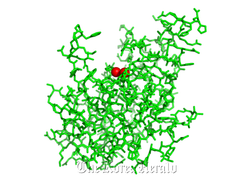 Computer generated image of the New Delhi metallo-beta-lactamase’s structure identified by Crystalge­nomics. (Crystalgenomics Inc.)
