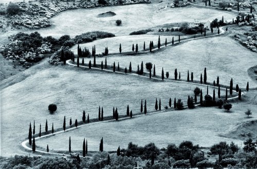 Campagna di Val d’Orcia (country of Val d’Orcia) photographed by Gianni Berengo Gardin(Italian Embassy)