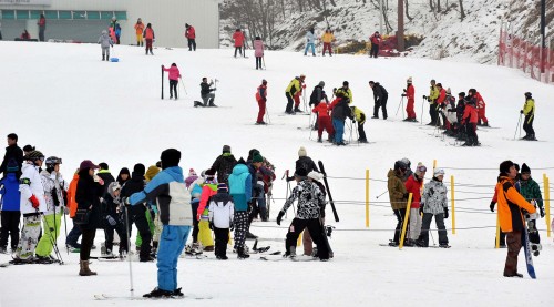 Children enjoy a day of skiing at a resort in Gangwon Province. (Yonhap News)