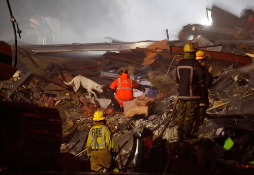 Emergency services search the rumble for survivors of the collapsed CTV building in Christchurch's business district, Tuesday, Feb. 22, 2011. Search teams using dogs, heavy cranes and earth movers worked through dawn Wednesday in one of New Zealand's largest cities, trying frantically to find survivors amid the crumbled concrete, twisted metal and huge mounds of brick left by a powerful earthquake.(AP-Yonhap)
