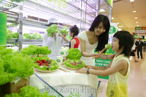 A boy tries vertical-farm produce at a Seoul discount store.