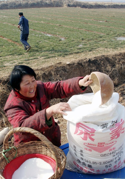 A farmer uses fertilizer on her wheatland in Nanfenghuang village in Jinan, capital of east China’s Shandong province.  (Xinhua-Yonhap news)