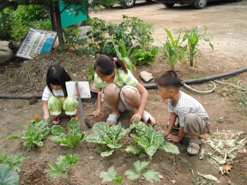 Kids tend to vegetables at an eco-friendly farm in Gyeonggi Province. (Park Gyeong-hwa)