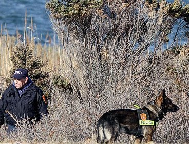 Police search in the brush by the side of the road on Cedar Beach, near Babylon, N.Y., Tuesday, Dec. 14, 2010.(AP)