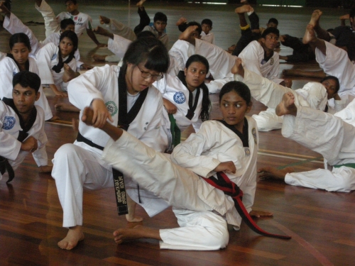 A volunteer teaches Sri Lankan participants during the 2010 Taekwondo Peace Corps program. (World Taekwondo Peace Corps Foundation)