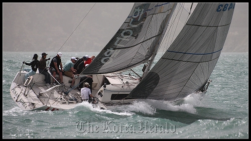 Members of Busan Expat Sailing Association compete in this year’s Busan Cup. (Mark Chi)