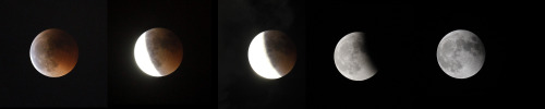 This five picture sequence shows various stages of a total lunar eclipse over Valencia, Spain, between 22:30 and 23:30 local time on Wednesday, June 15, 2011. (AP-Yonhap News)