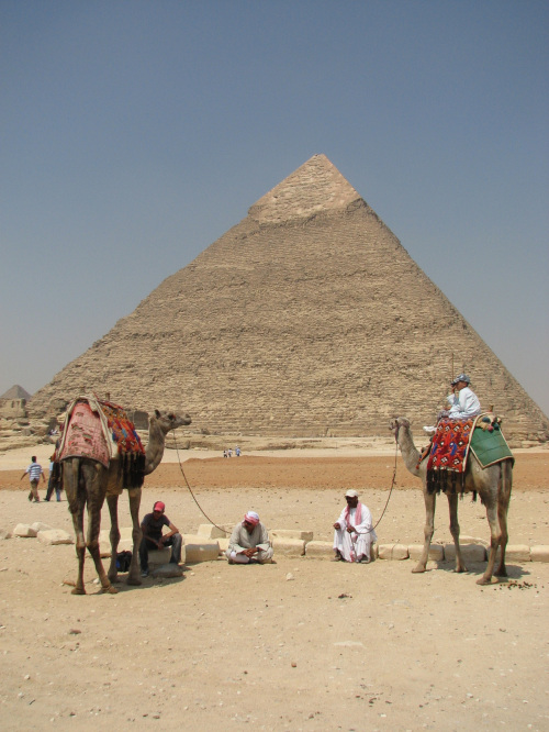 A lack of tourists have left many camels and their guides waiting for business at the pyramids in Giza, Egypt. (MCT)