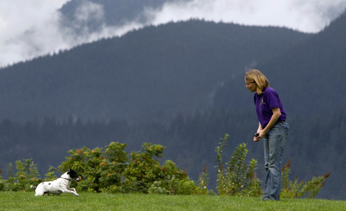 This Sept. 18 photo shows animal trainer Lauren Henry with her dog Spike in North Vancouver, Canada. (AP-Yonhap News)