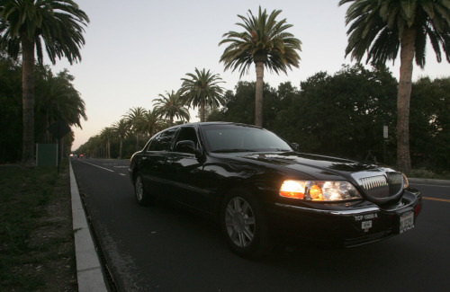 A car arrives for the private memorial service being held at Stanford University for Steve Jobs, Sunday, Oct. 16, 2011, in Stanford, California (AP-Yonhap News)