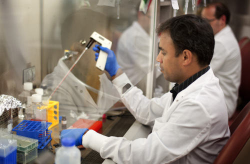 Mayo Clinic researcher Lavakumar Karyampudi works on a process to isolate suppressor cells that can be used to kill tumors at the facility’s lab in Rochester, Minnesota. (Minneapolis Star Tribune/MCT)