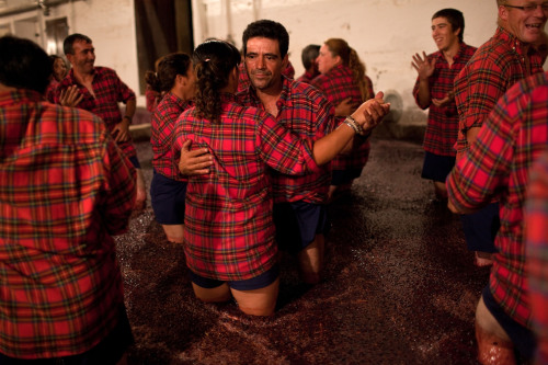 Grape-pickers dance while treading grapes in a traditional stone tank at Quinta do Vesuvio vineyard on Sept. 19 near the village of Foz Coa, northern Portugal. (AP-Yonhap News)