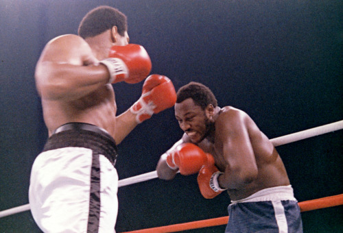 Joe Frazier (right) grimaces after Muhammad Ali landed a blow during their fight in 1975. (AP-Yonhap News)