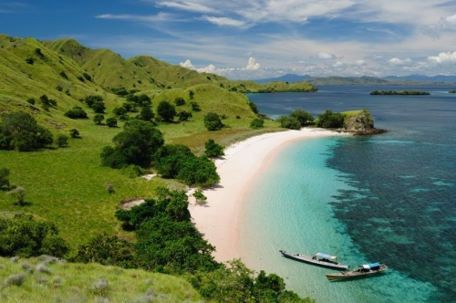 Indonesia’s Komodo