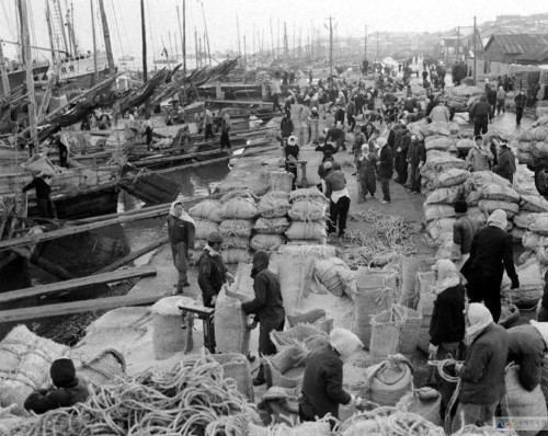 Workers in Busan Port unload grain shipped from the U.S. (KOICA)
