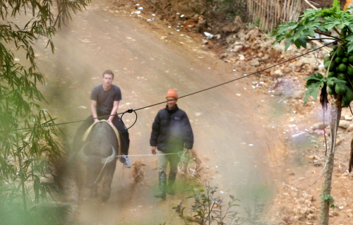 In this Dec. 26, 2011 photo, Facebook website founder Mark Zuckerberg rides a water buffalo in northern resort town of Sapa in Lao Cai province, Vietnam in this picture taken.(AP-Yonhap News)