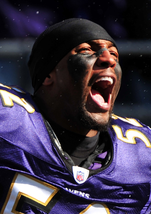 Baltimore Ravens All-Pro linebacker Ray Lewis (UPI-Yonhap News)