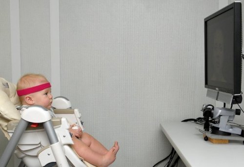 This undated handout photo provided by Florida Atlantic University shows a baby, looking at a monitor, wearing a band that contains a little magnet that the head-tracker, under the monitor uses to determine head position which, in turn, enables the eye tracker to find the eye and the pupil. (AP)