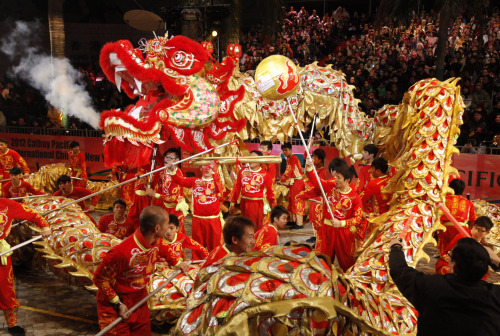Performers take part in a dragon dance in a night parade in Hong Kong Monday, Jan. 23, 2012, celebrating the start of the Chinese Lunar New Year. According to the Chinese zodiac, the year 2012 is called the Year of the Dragon. (AP)