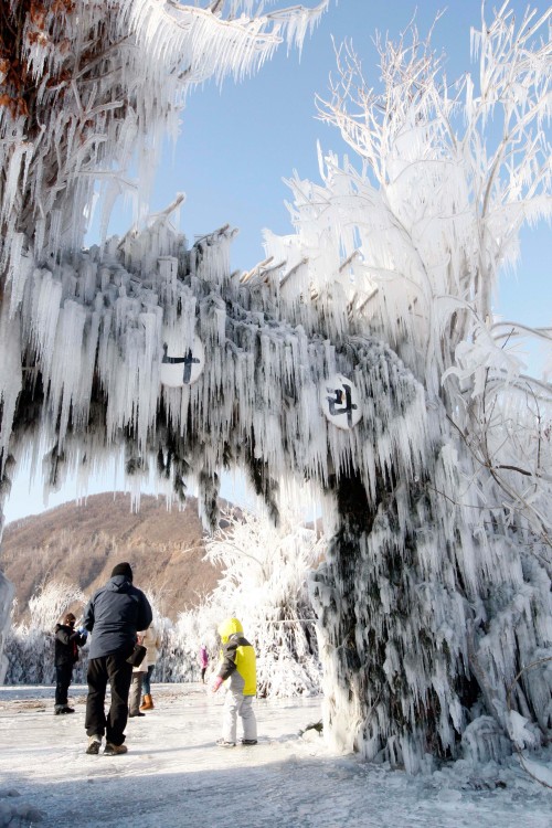 Visitors take in the sight at the Inje Icefish Fest ival on Thursday. (Yonhap News)
