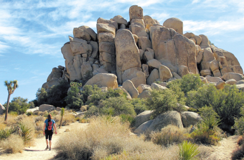 Josua Tree National Park, about 45 minutes from Palm Springs, California, offers hiking trails and is popular with rock climbers. (Minneapolis Star Tribune/MCT)