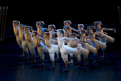 The cast from “Matthew Bourn’s Swan Lake” is shown in this Dec. 15, 2009 publicity image. (AP-Yonhap News)