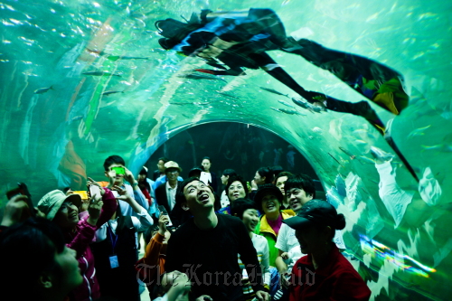 Visitors gaze up on Friday at an aquarist swimming in Hanwha Group’s aquarium Aqua Planet, the biggest of its kind in South Korea, which opened in time for the Expo 2012 Yeosu Korea in South Jeolla Province. (Hanwha Group)