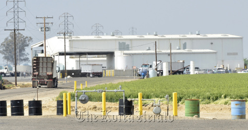 A cow has tested positive for mad cow disease at Baker Commodities, a rendering facility in Hanford, California. (MCT)