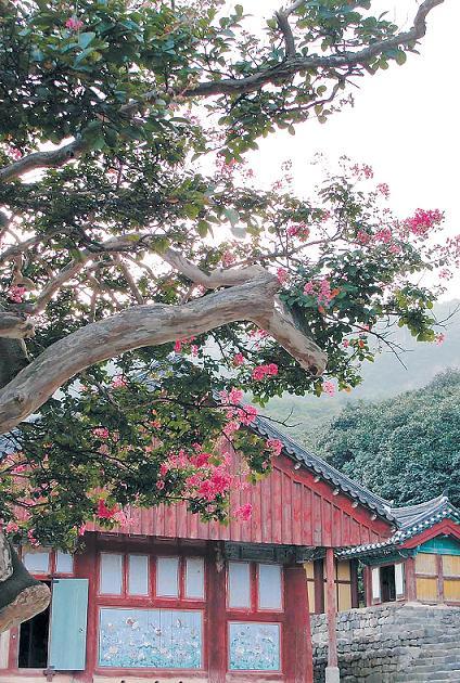 Seonunsa, a historic temple in Gochang (Gochang County)