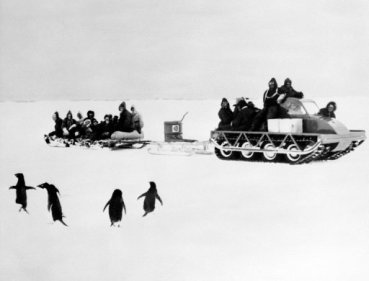 An automobile sled passes by a group of Adelie penguins in the South Pole in 1958 (AFP/File)