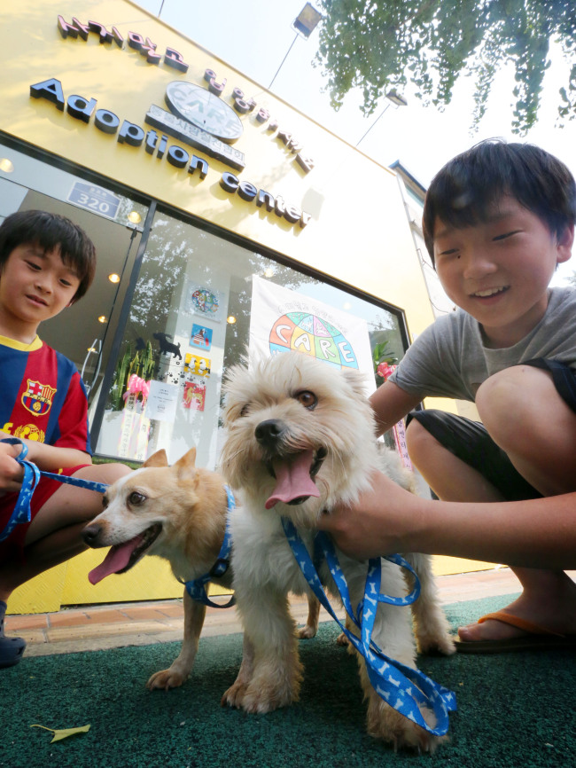 Children volunteers familiarize themselves with dogs housed in CARE’s newly opened Adoption Center at Toegye-ro, Seoul. (Yonhap News)