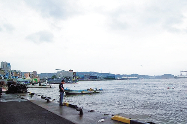 Fishermen in the Ulsan area complain that whales are eating up the fish stock.(Yonhap News)