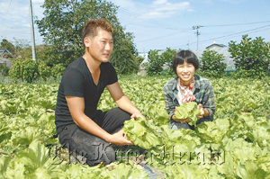 Shohei Kikuchi and his wife, Yoko, hold lettuce they harvested from their farm in Kikuchi’s hometown of Soma, Fukushima Prefecture. (The Yomiuri Shimbun)