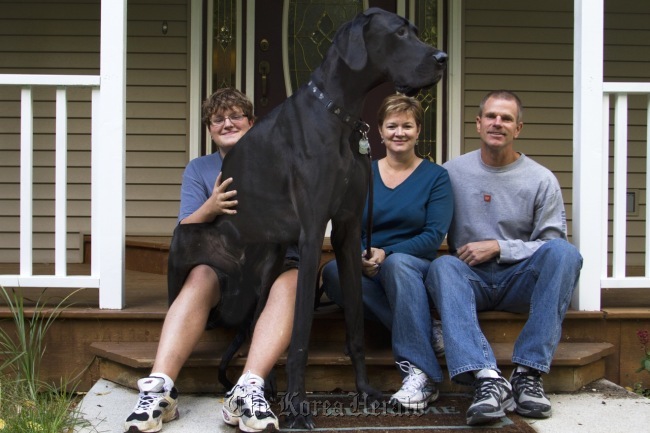 From left, Zeus sits on Nicholas Doorlag as Denise and Kevin Doorlag sit close by on Tuesday in Otsego, Mich. (AP-Yonhap News)