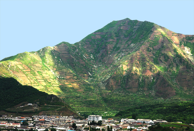 A North Korean mountain reclaimed as a plantation (KFS)