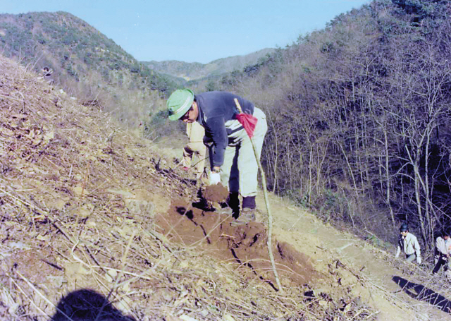 SK founder Chey Jong-hyon plants a tree in the firm’s forestation areas in Mount Gwangdeok, Cheonan, in 1977. (SK Group)