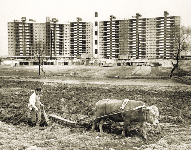 “Plowing the Field in Apgujeong, 1978” by Jeon Min-jo (Seoul Photo Festival)