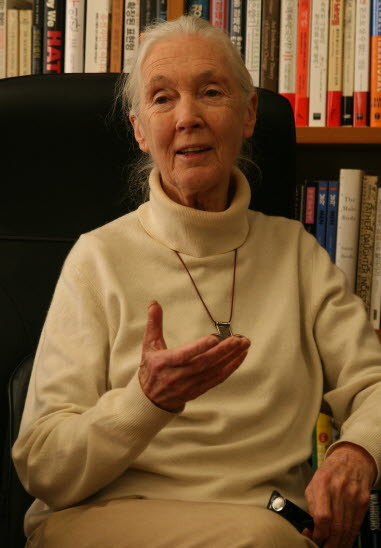 Primatologist and environmentalist Jane Goodall speaks with reporters in Seoul on Wednesday, a day after she came to Korea to celebrate the launch of J&J Biodiversity Foundation. (Yonhap News)