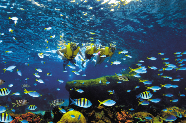 Visitors enjoy their time at Adventure Cove Waterpark.