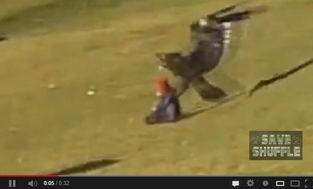 Video showing a golden eagle grabbing a small child in its talons in Montreal. (YouTube)