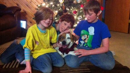 In this undated photo provided by McKenzie Grapengeter, the Grapengeter children, from left, Ava, 6, Greg, 10, and Shane, 9, pose for a photo with their dog, Abby, who is blind and went missing more than a week ago during heavy snow storms, at their Fairbanks, Alaska home. After walking 10 miles to the edge of a local musher`s dog yard, Abby the brown-and-white mixed breed was found and returned to her owners on Sunday, just in time for Christmas. (AP)