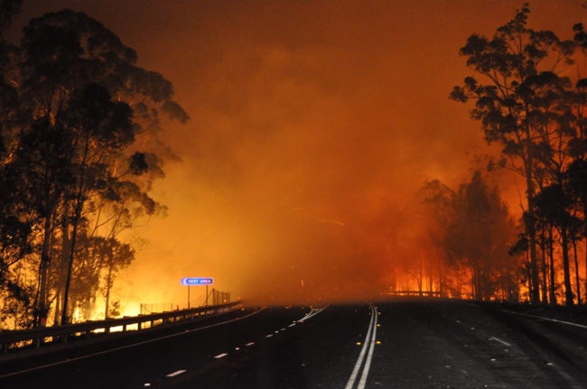 A wildfire near Deans Gap, Australia, crosses the Princes Highway on Tuesday. (AP-Yonhap News)