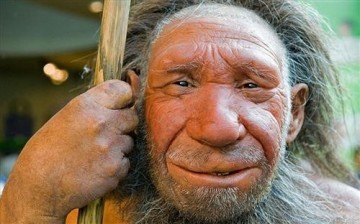 Picture of an assumed Neanderthal from `Neanderthal Museum` (Telegraph)