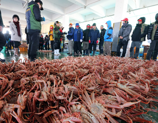 A crab auction is held at the Guryongpo Port, Pohang, North Gyeongsang Province. (Yonhap News)