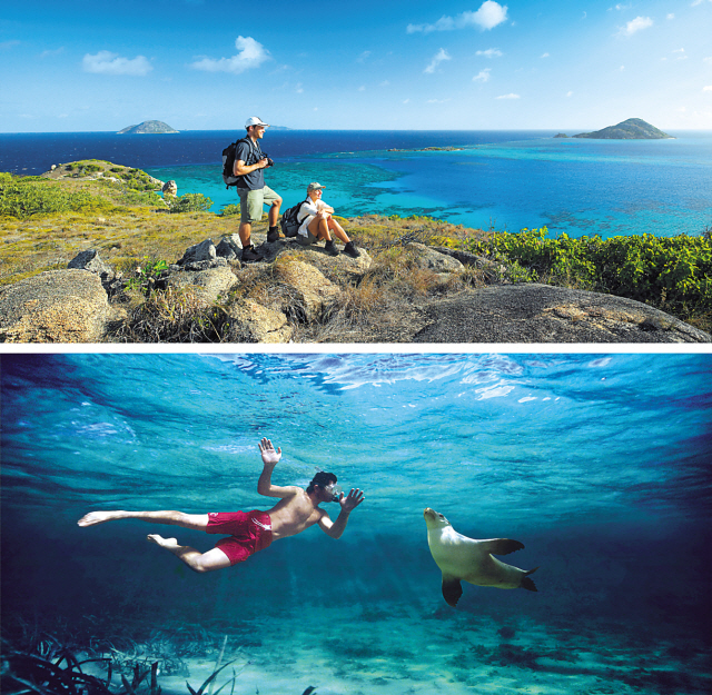 Australia’s “Best Jobs in the World” include a park ranger in Queensland (top) and wildlife caretaker in South Australia. (Tourism Australia)