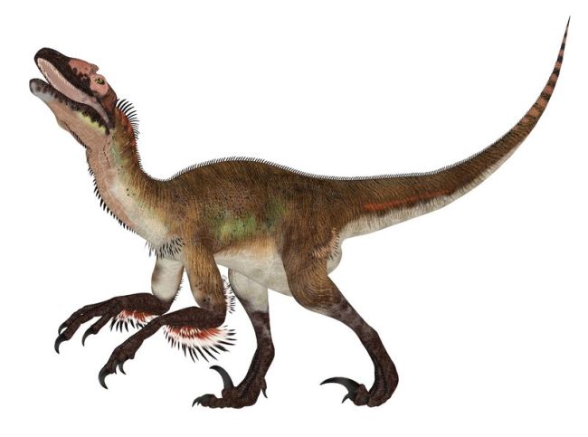 Illustration of an Utahraptor dinosaur species (123rf)