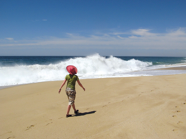 A visitor walks past thundering surf on the scenic beach of Todos Santos, Mexico. (Seattle Times/MCT)