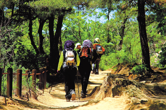 Hikers trek up a hill on the Yetseong-gil section of the Mount Bukhansan’s Dullegil Trail. (Julie Jackson/The Korea Herald)